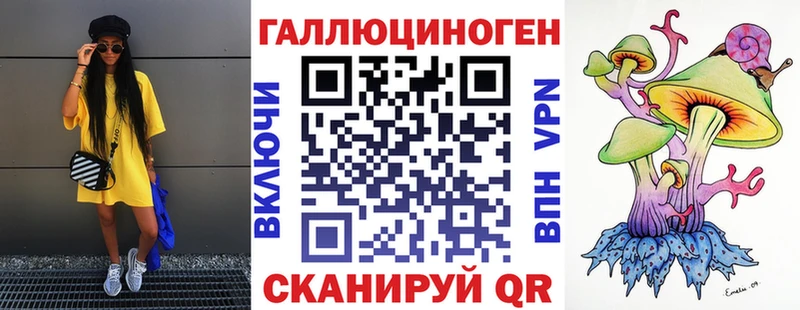 блэк спрут вход  Дигора  Псилоцибиновые грибы Psilocybe 